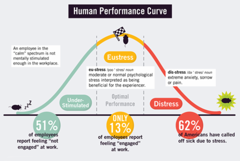 human performance curve Yerkes Dodd | Q4 Consulting