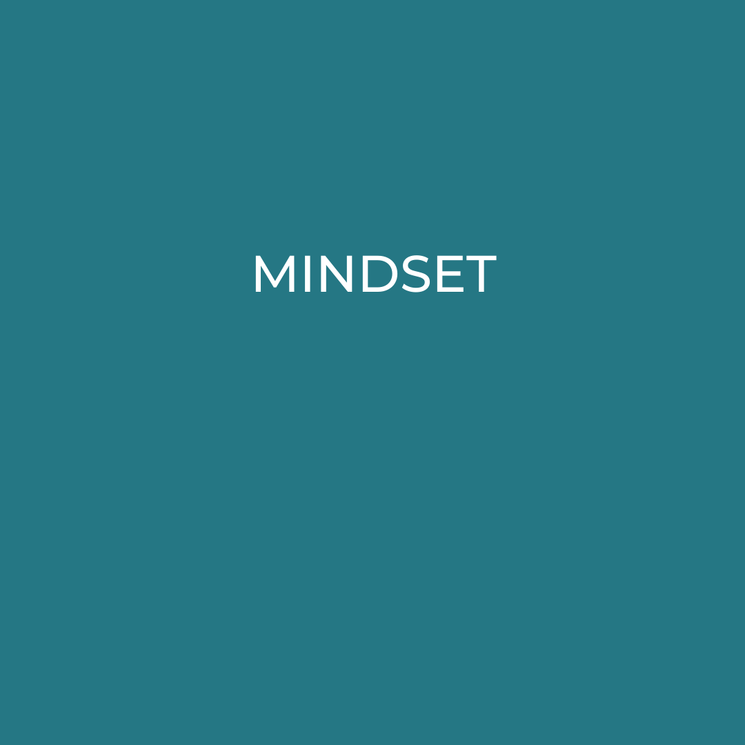 _INSTA size Mindset